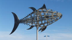 Thunfisch in Conil