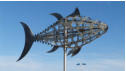 Thunfisch in Conil